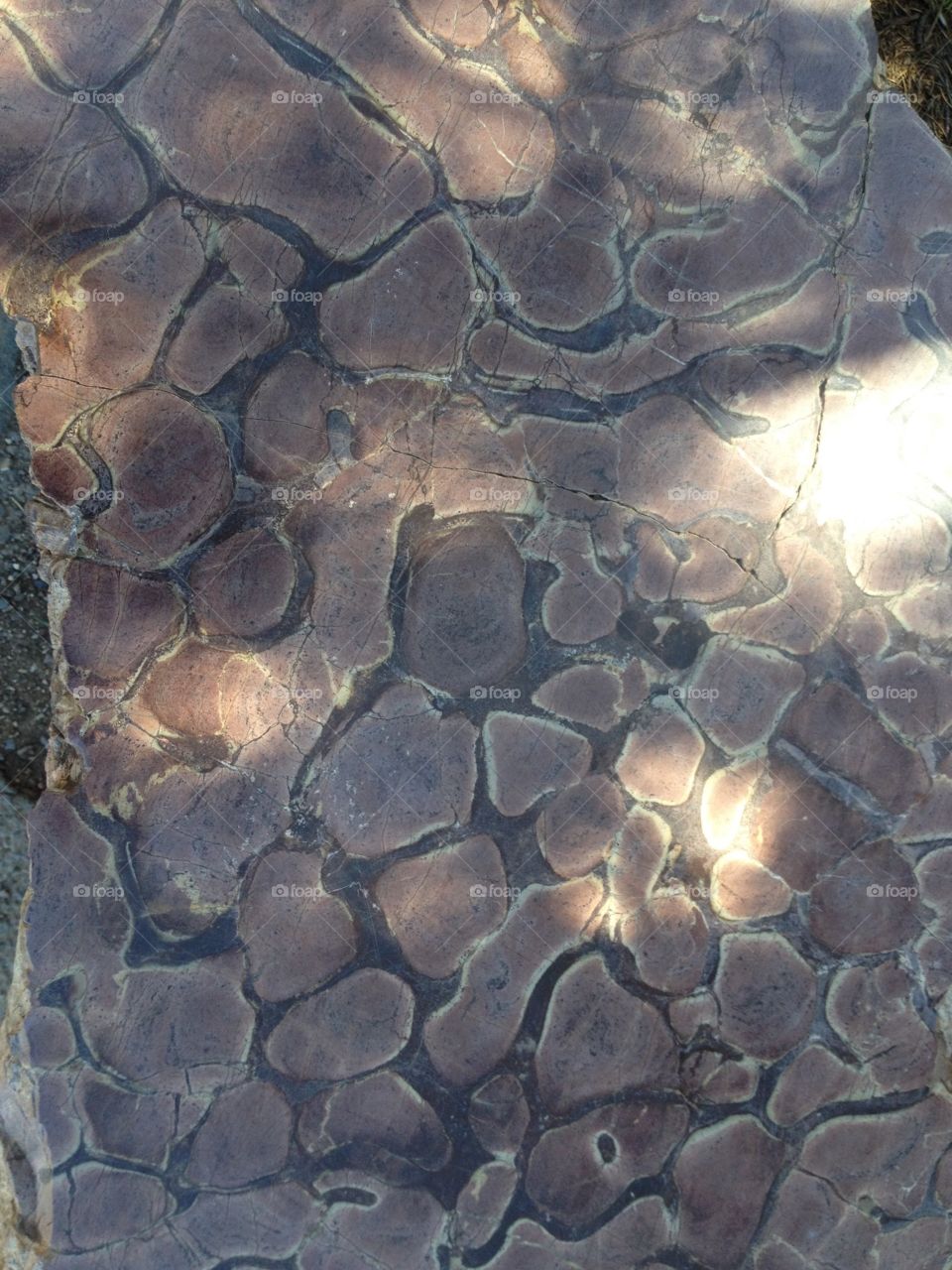 Stone Surface Art 