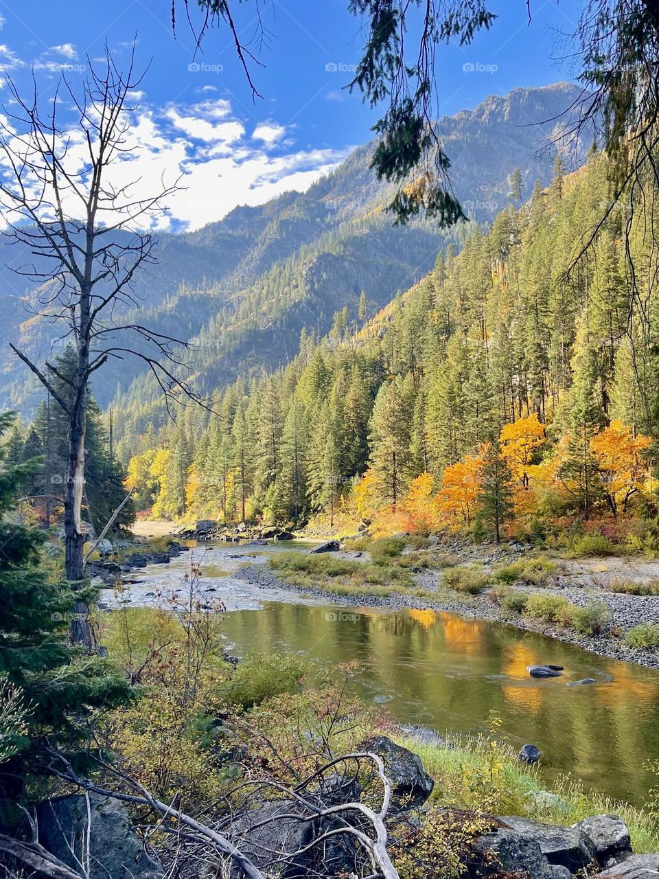 Autumn mountain landscape 