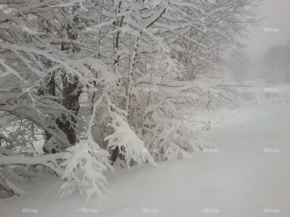 winter time mountain with snow. winter time mountain with snow