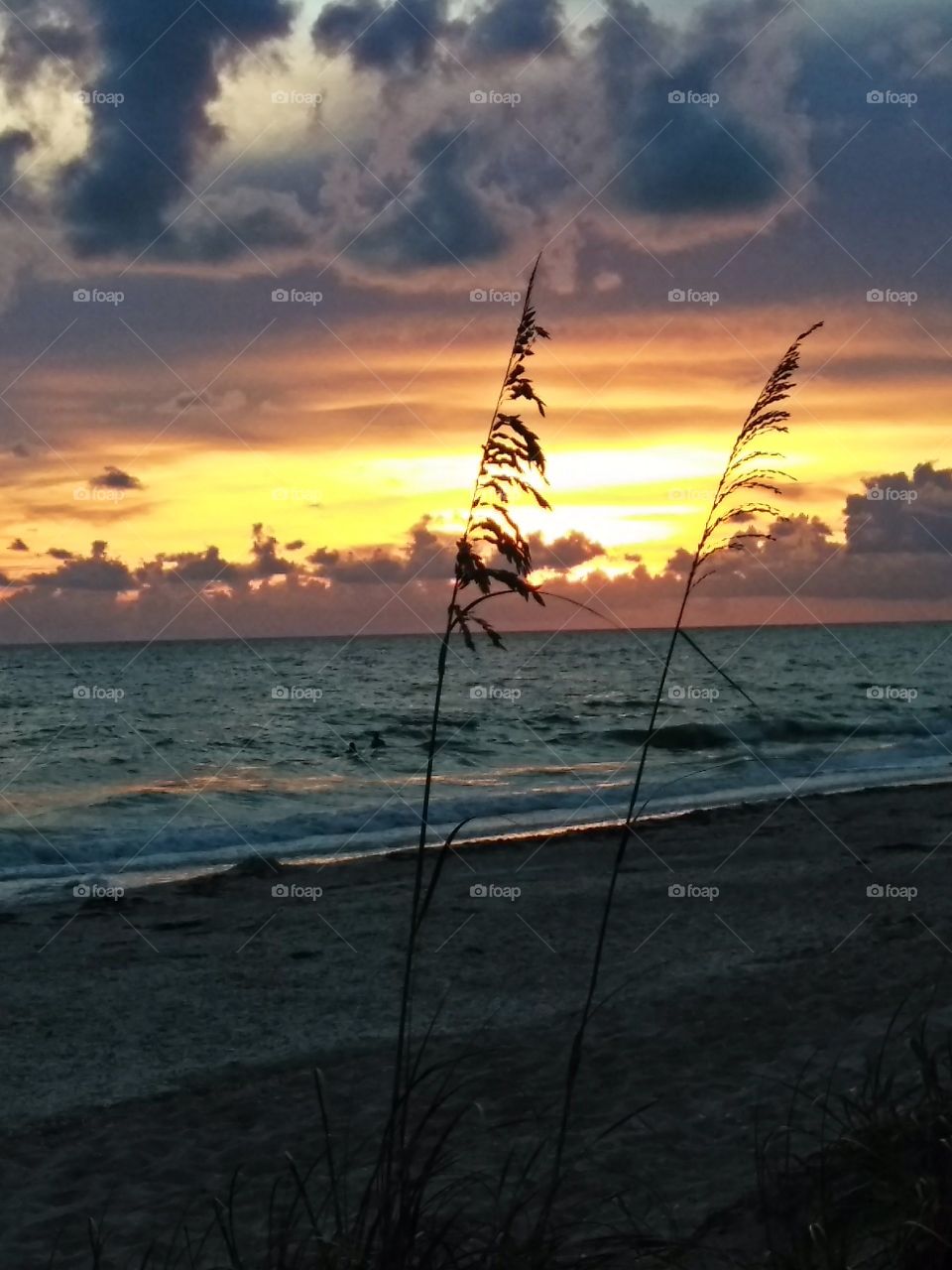 Beautiful Florida Sunset