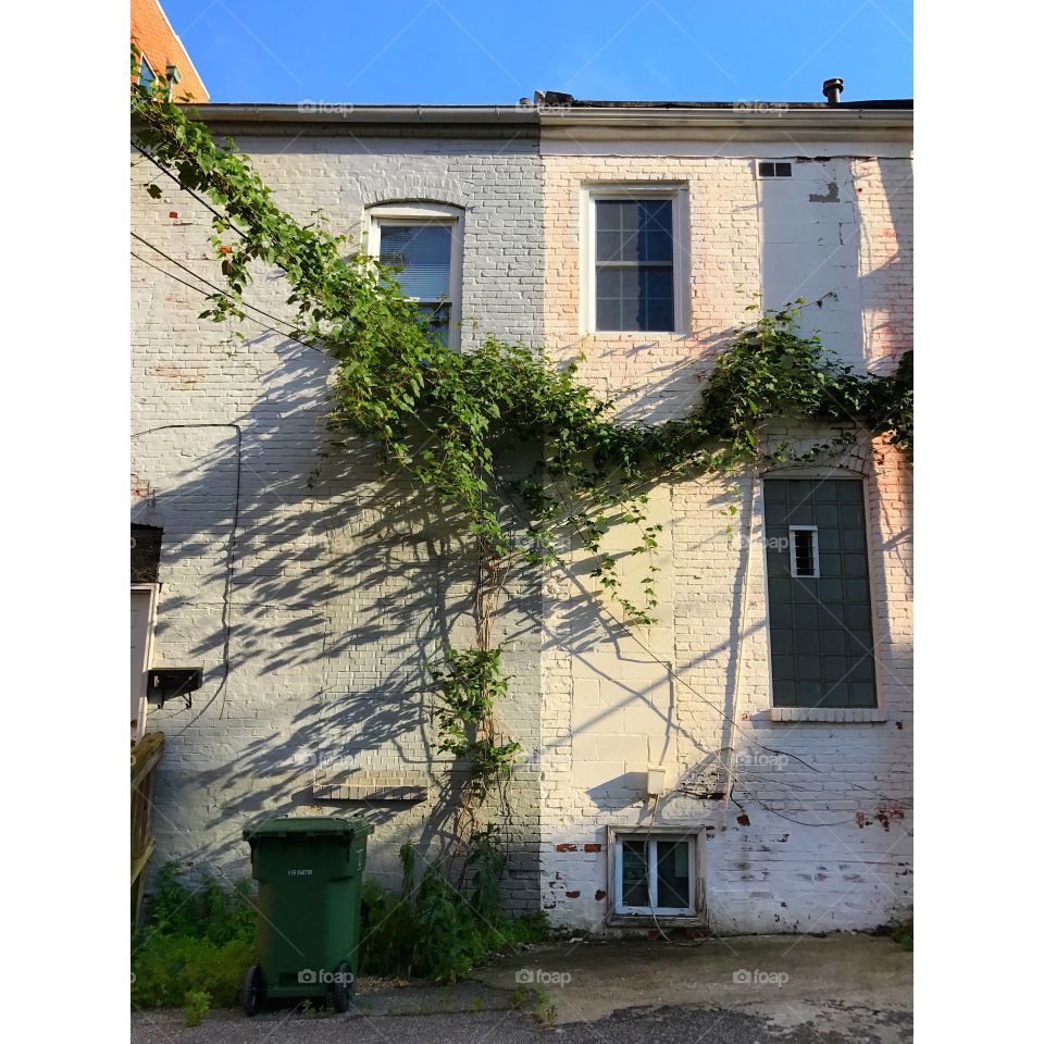 House, Family, Architecture, Building, Window