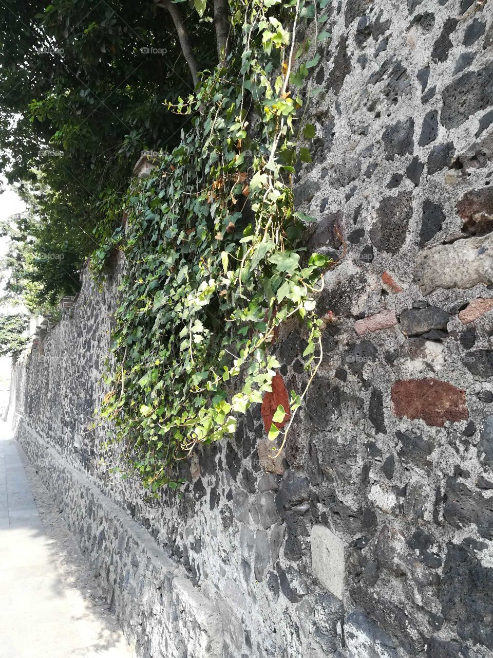 Impresionante muro de piedra de la Colonia. México City
