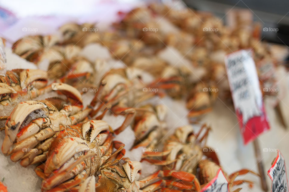 Crabs for sale at Seattle's Market Center