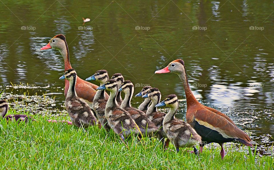 Beautiful family together 