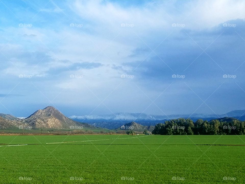 Rural Farm Land