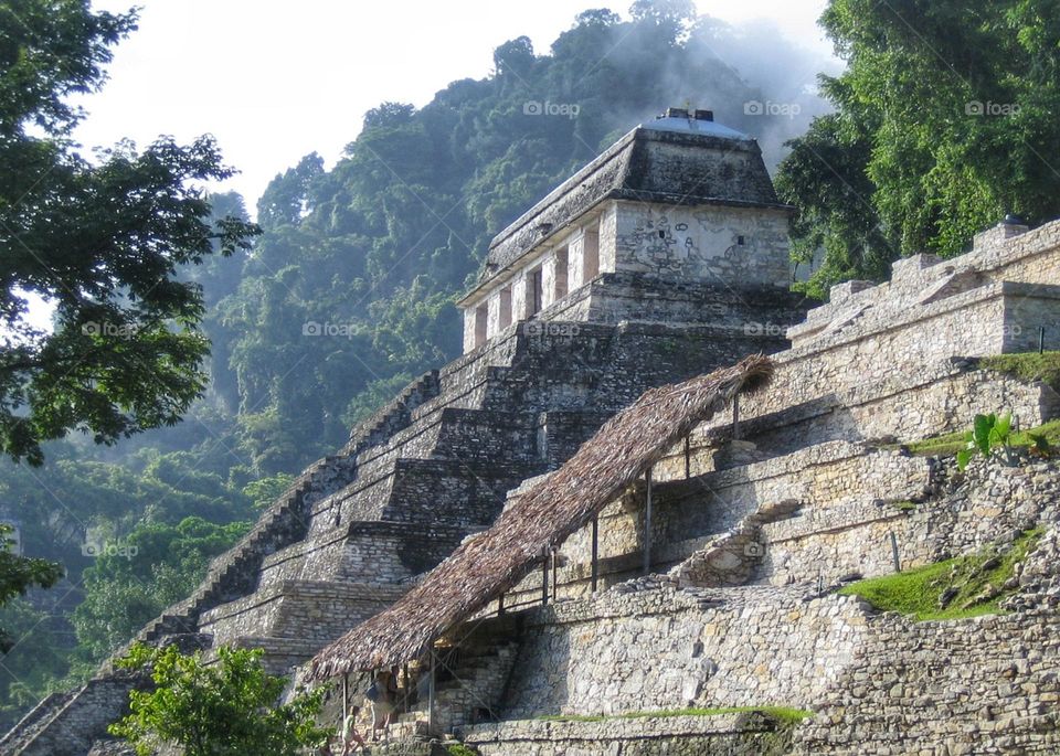 The Palenque ruins