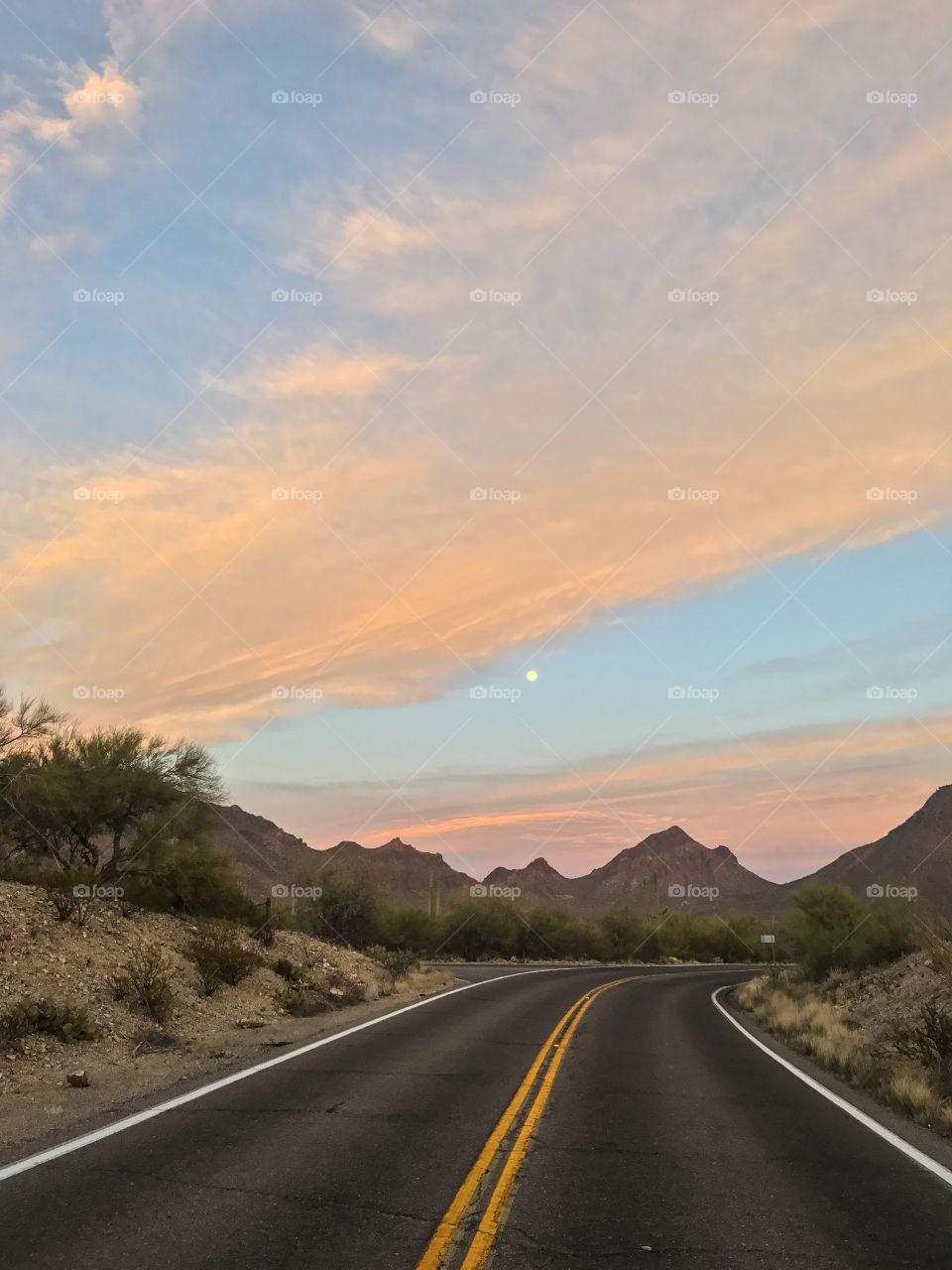 Nature - Road Trip 