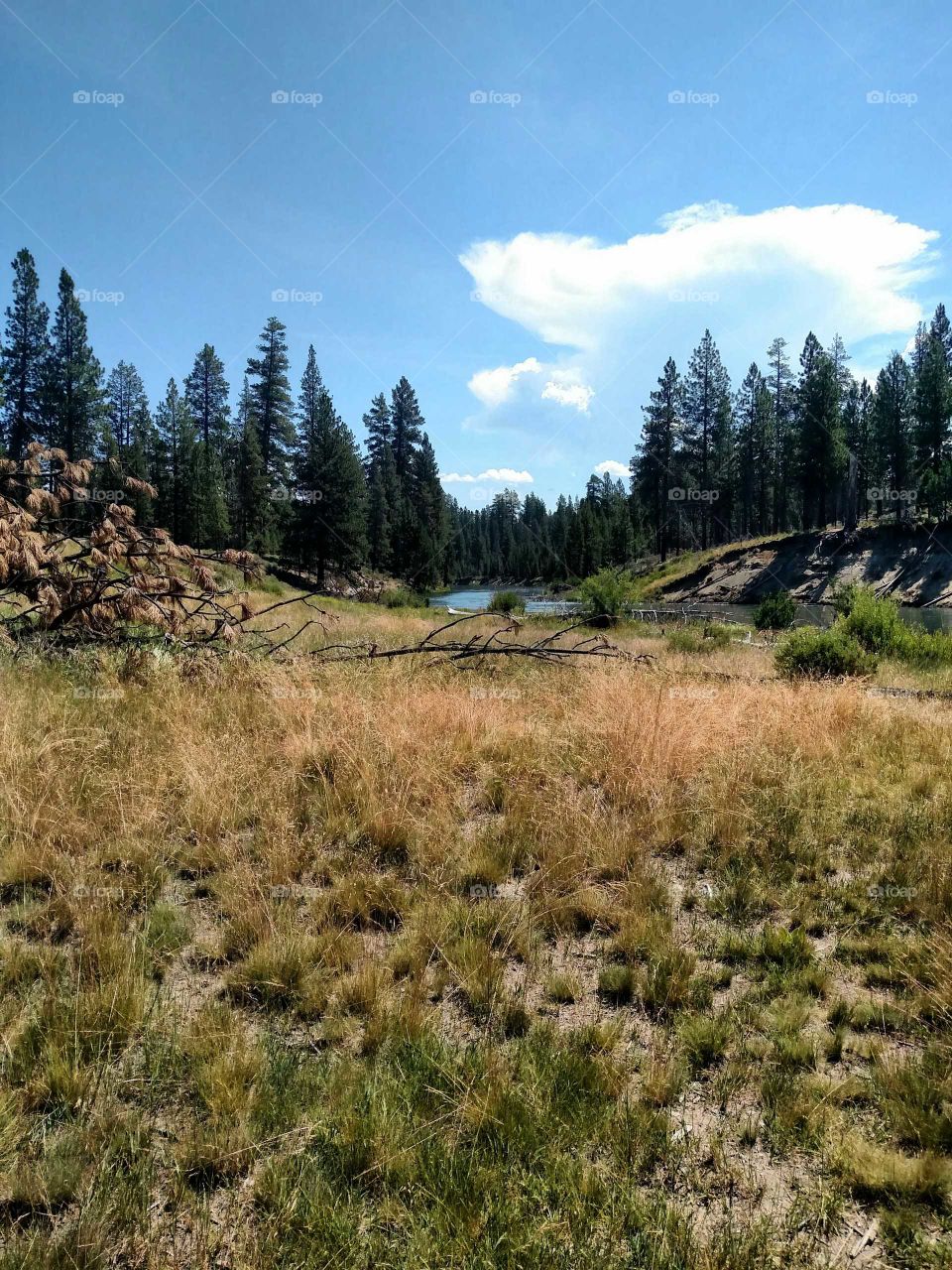 Beautiful scenic La Pine Oregon