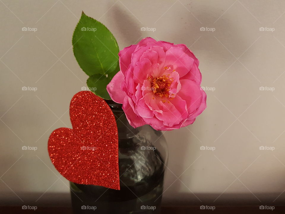 nice pink flower and a heart