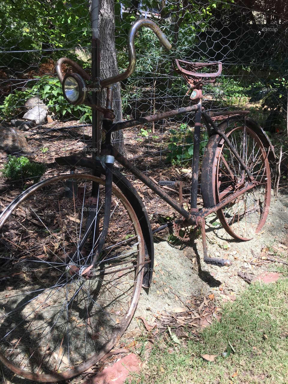 Rusting bike