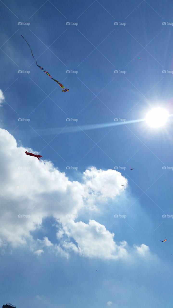 Kites against the sunlight