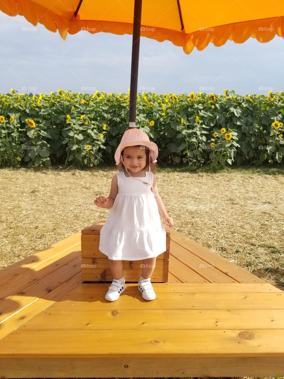 Baby in a Dress at a Sunflower Farm