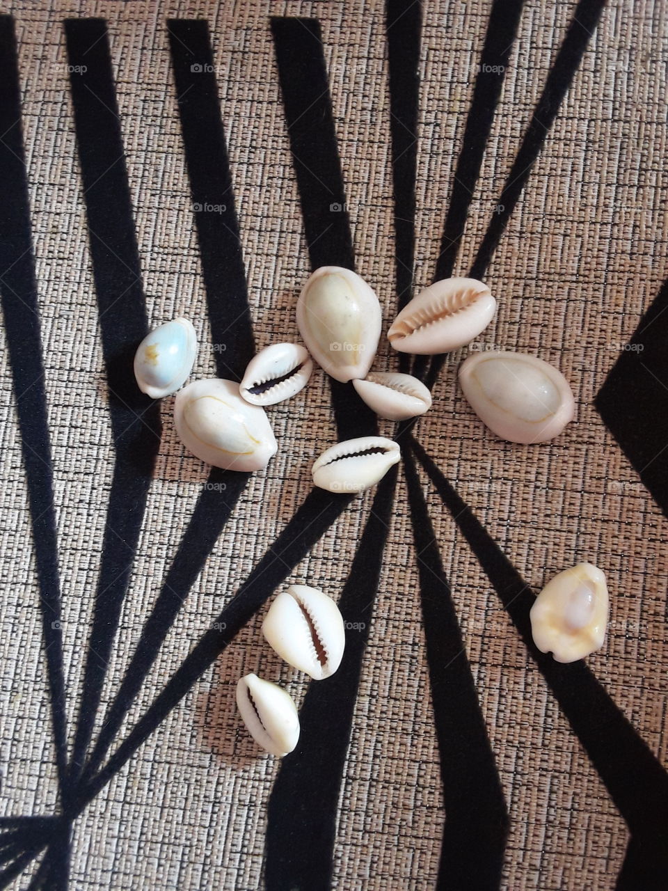 A seashell, a seashell or sea shell, also known simply as a shell, is a hard, protective outer layer usually created by an animal that lives in the sea.