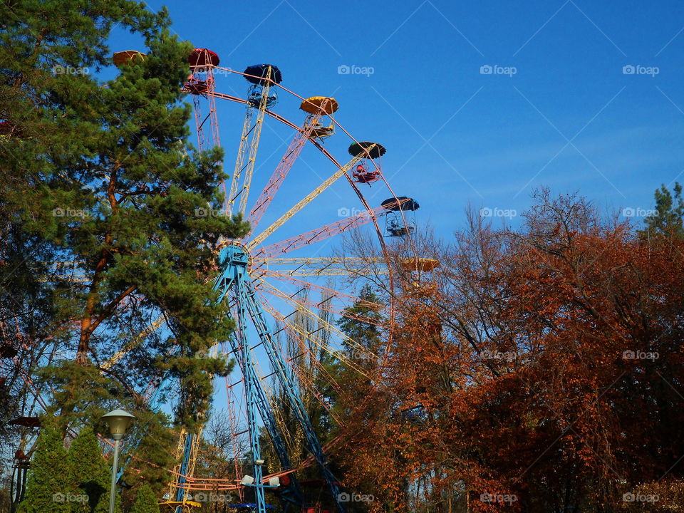 early autumn in the park of Kiev