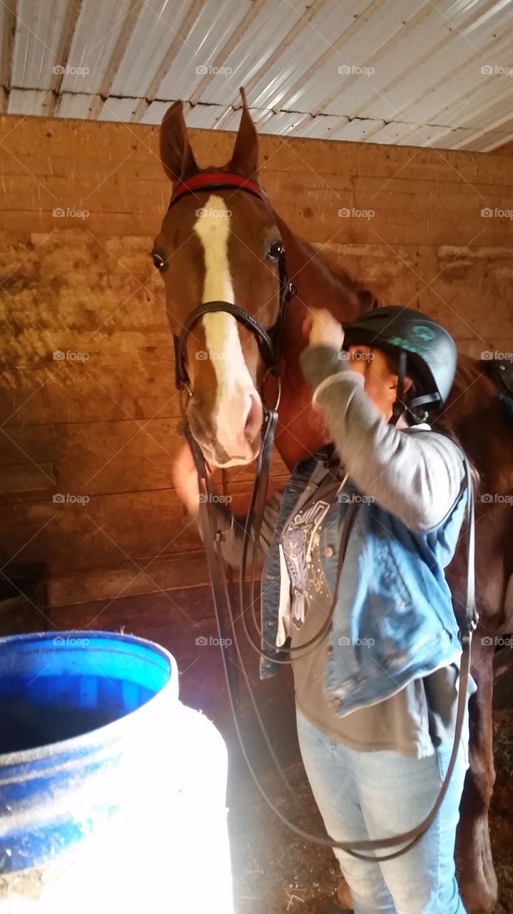 A Lesson Horse and a Student