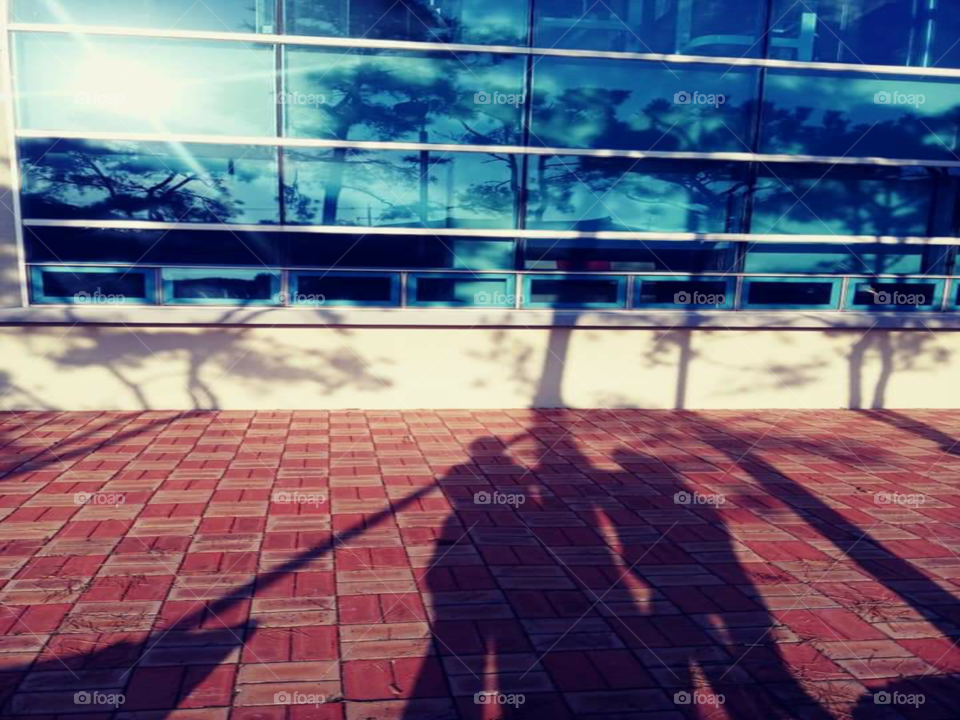 the two person are holding this carabao tree trunk . its noon time and they are out for a walk.