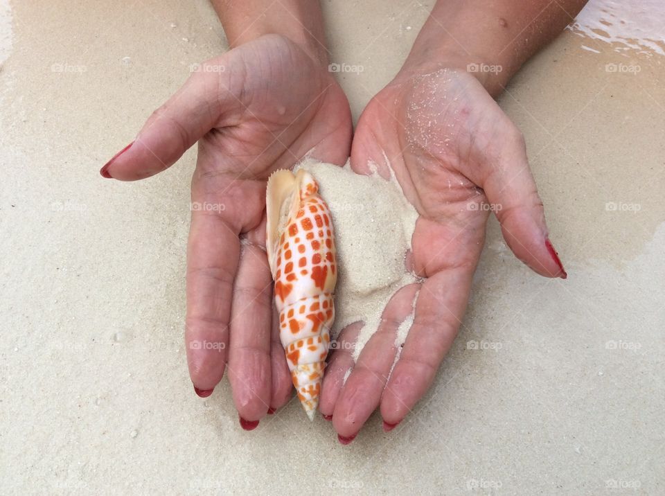Sand hands and shell 