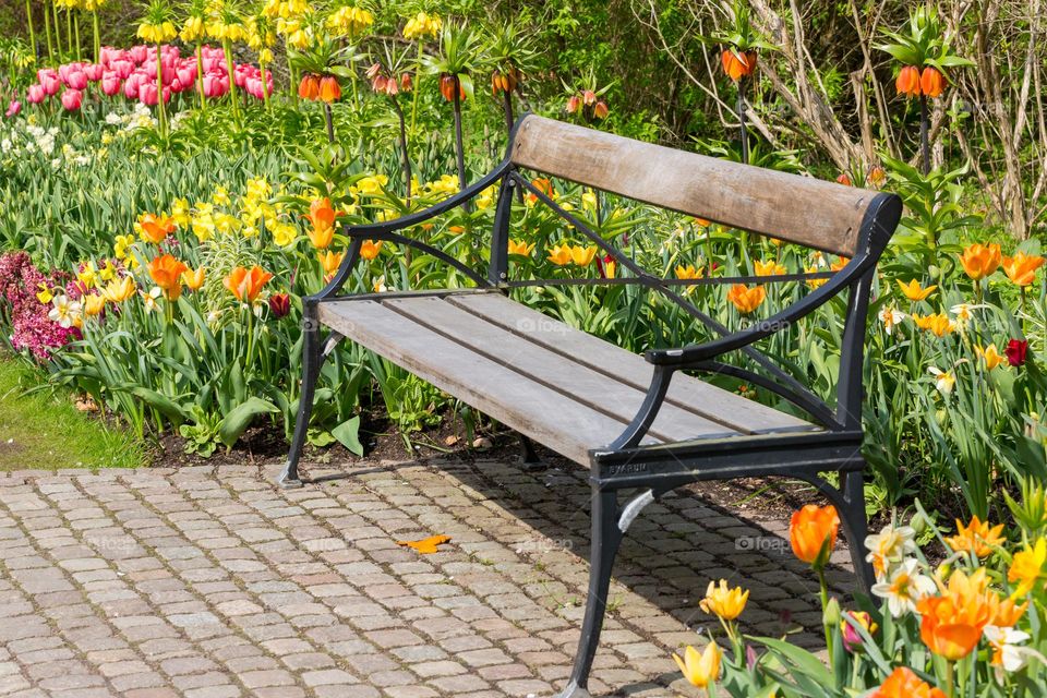 Park bench surrounded by beautiful flowers in many colors at spring 