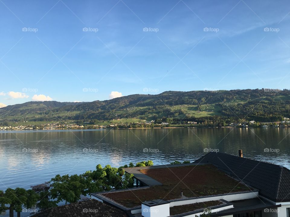 A Landscape of the Zurich Lake