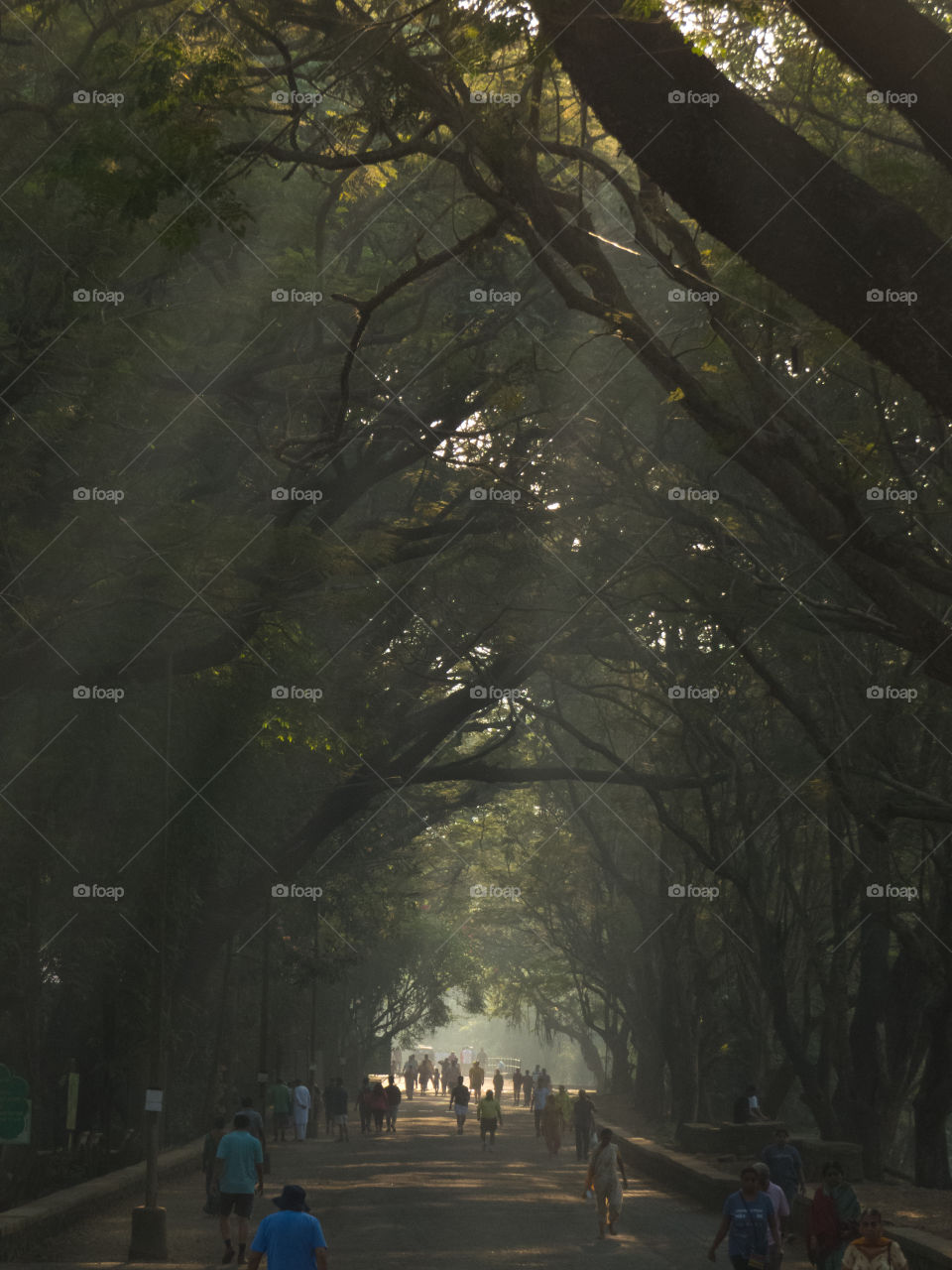 People at jogger's park