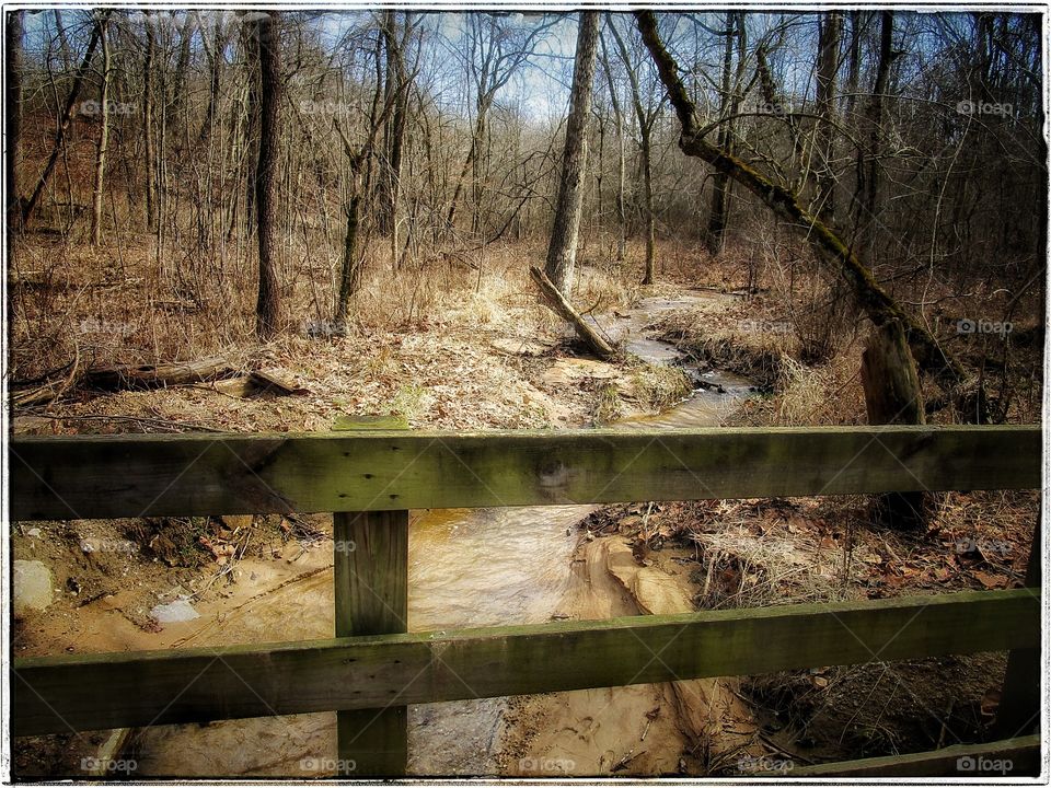 Wood, Nature, Tree, Fall, Landscape