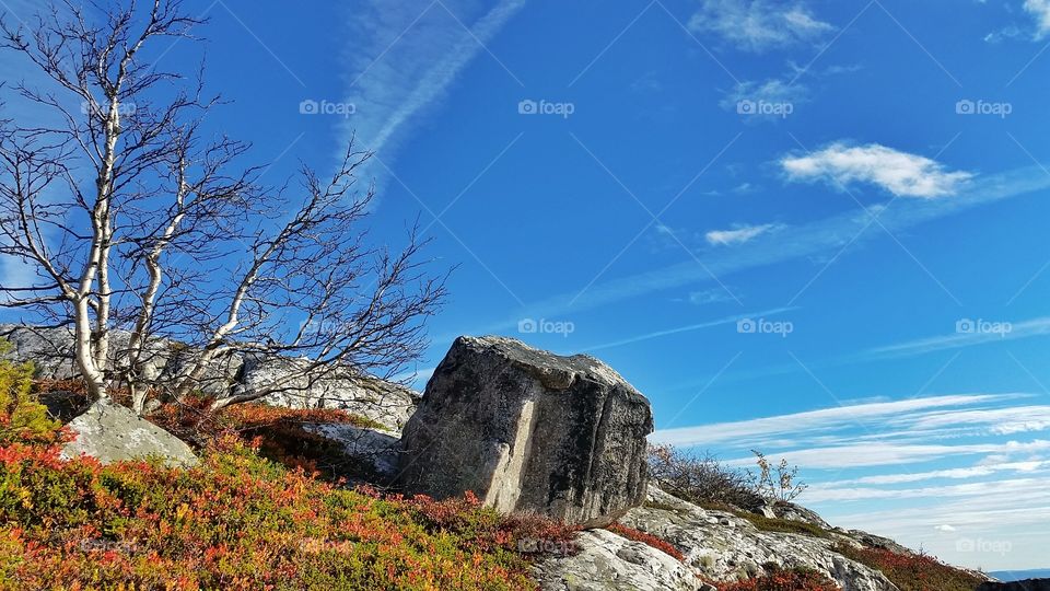Rock in Norwegian mountains