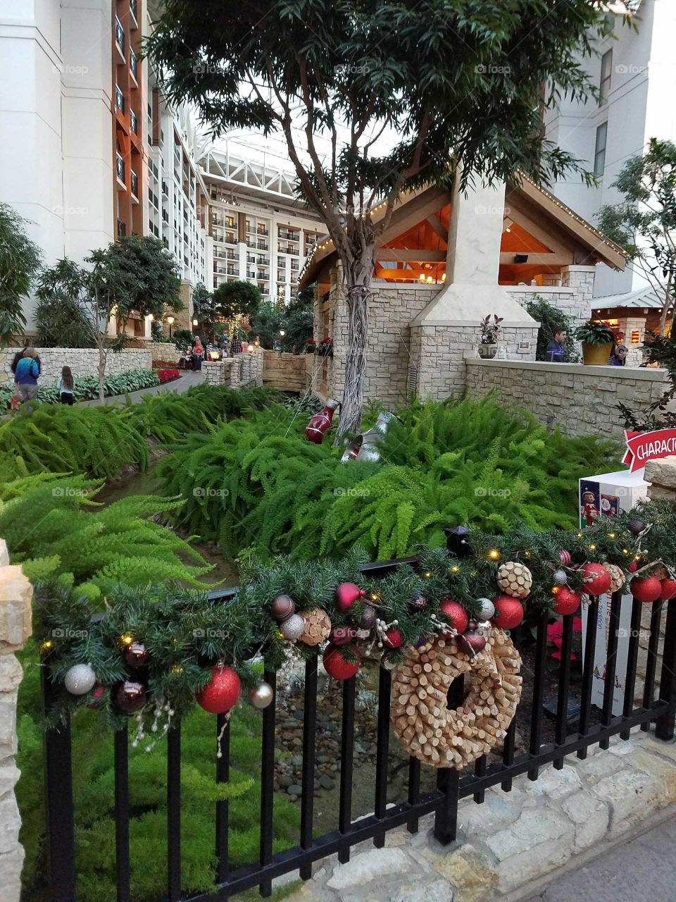 Garden, No Person, Tree, Flower, Architecture