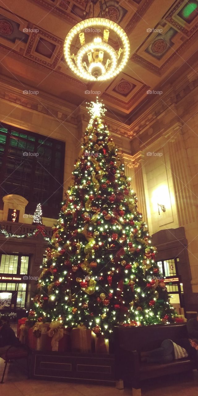 Kansas City Union Station Christmas tree