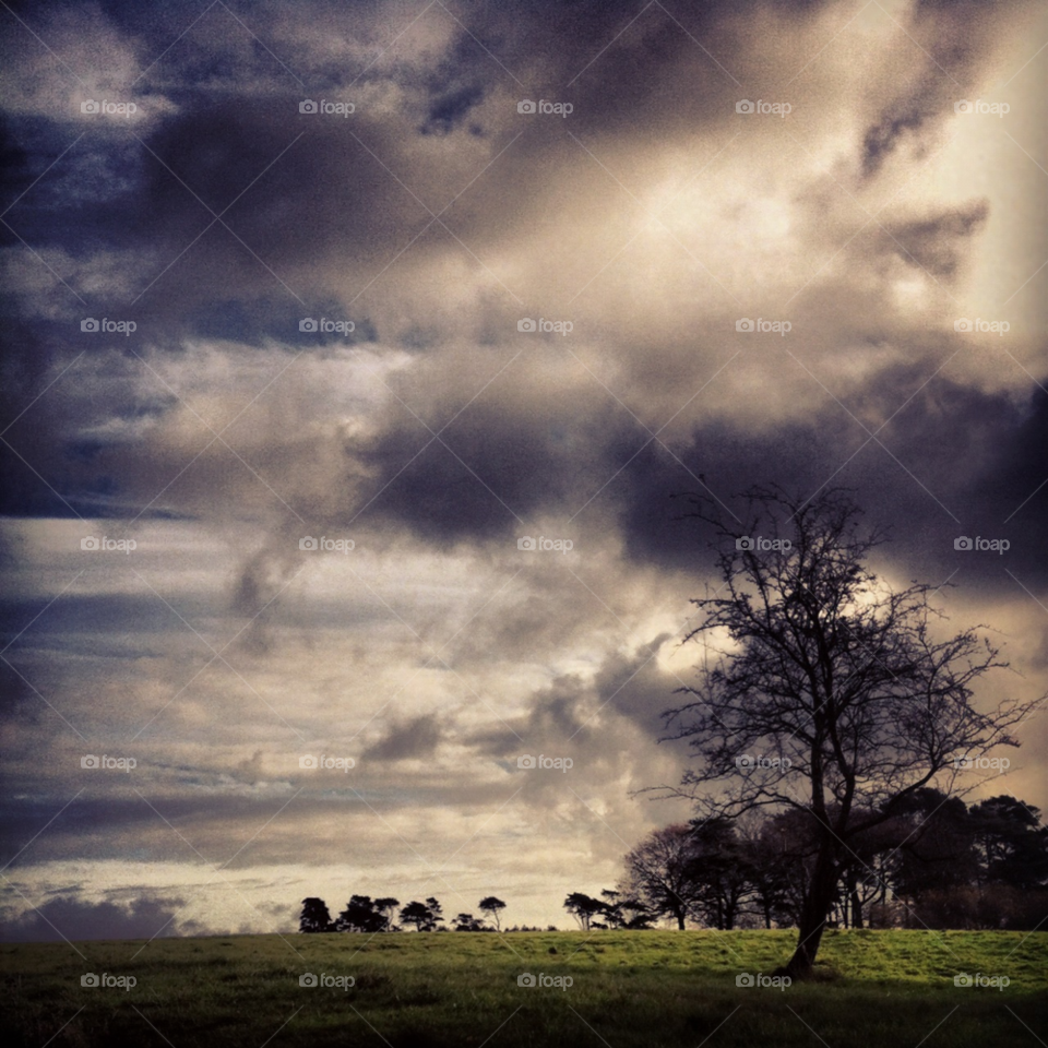 grass clouds trees margam south wales by Ezrahames