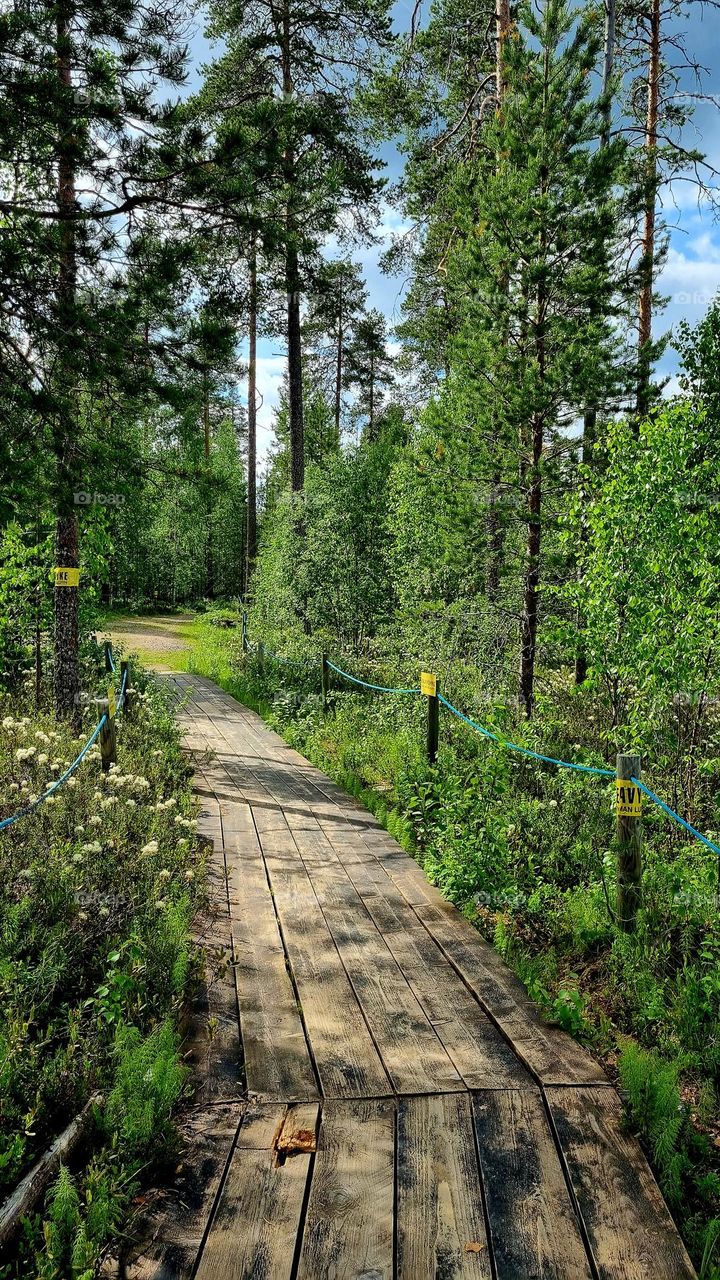 Finland's easternmost point on the Russian border in Ilomantsi