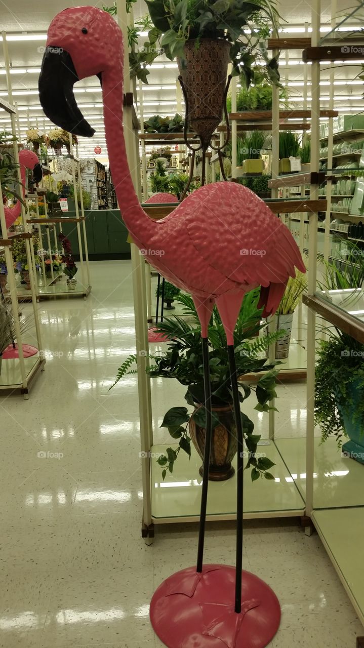 Flamingo metal statue