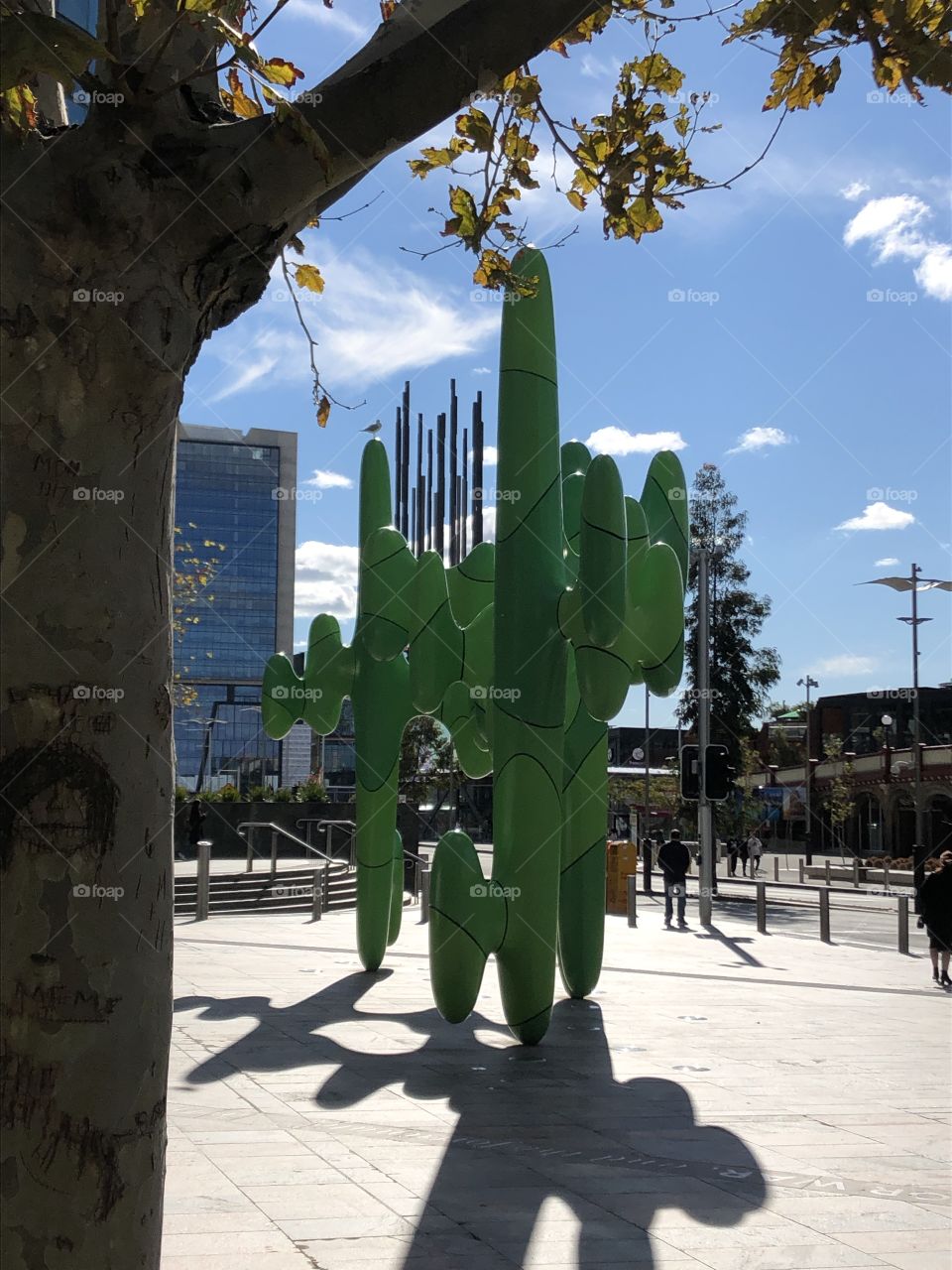 The Cactus/Grow Your Own - The green sculpture designed by Perth artist James Angus is placed in Forrest Place. The 6.5m-high, 3m-wide and 11m-long sculpture attracts tourists as they could see the change of the shape depend on where they stand. 