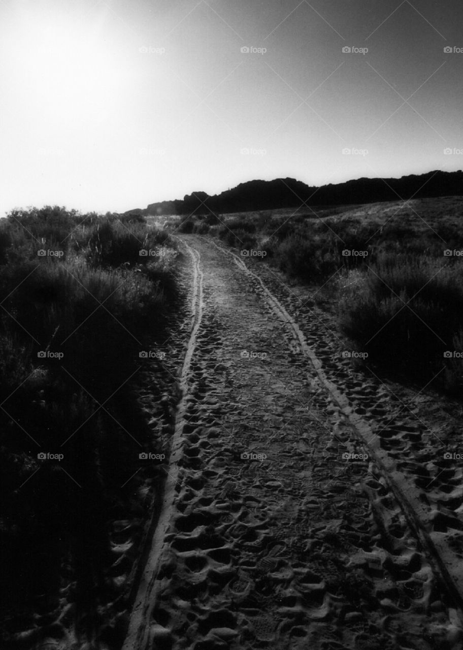 Handcart tracks in Wyoming.