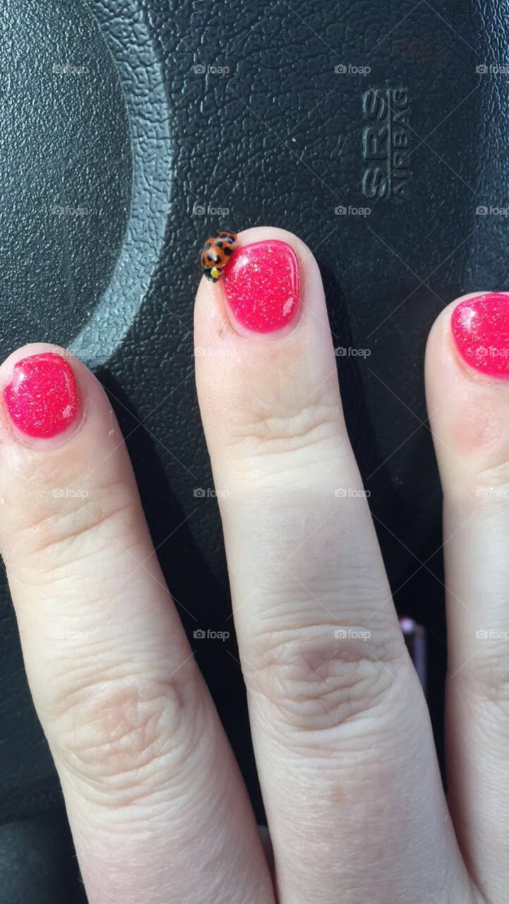 My new ladybug friend! 