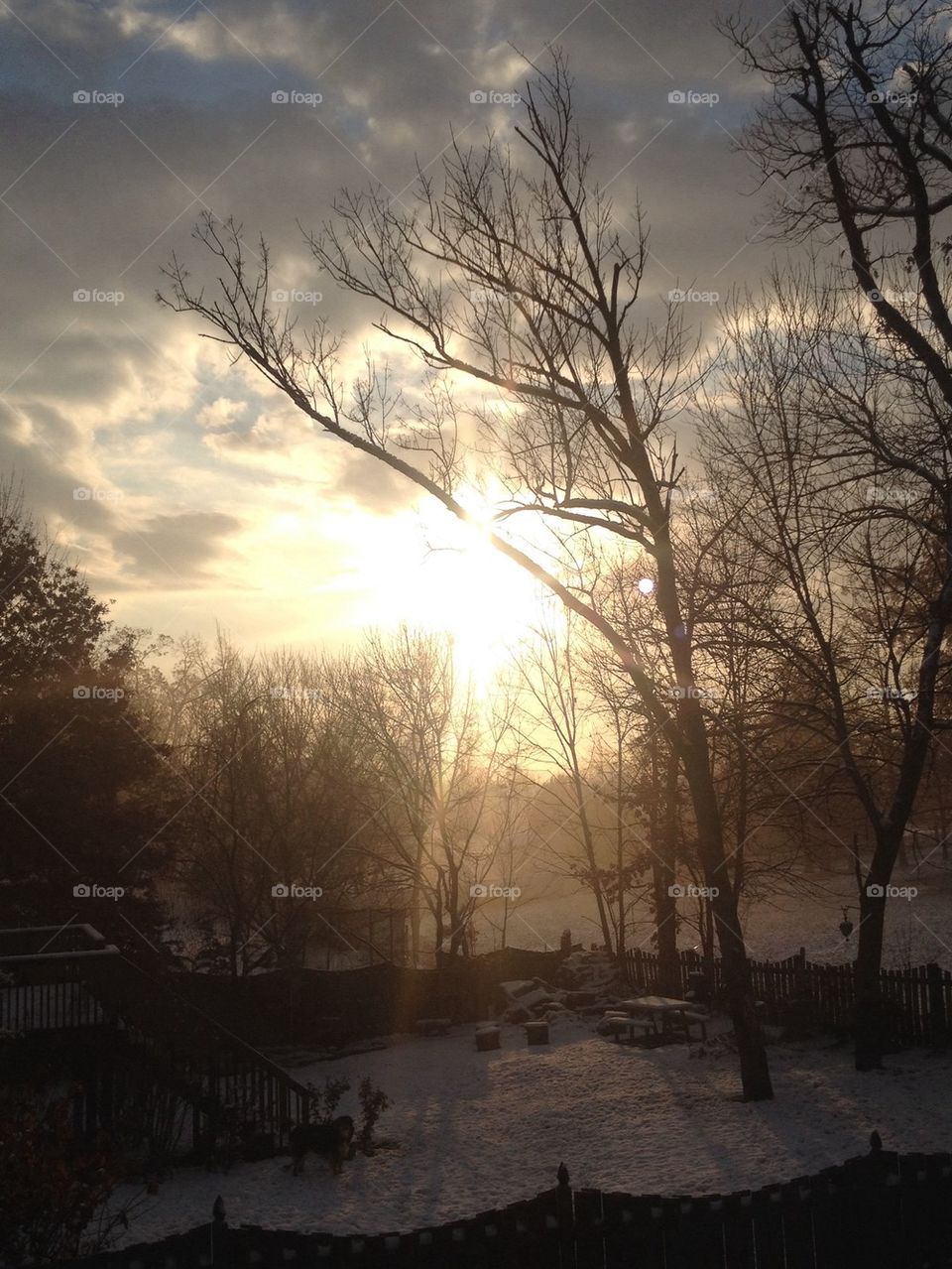 Snowy Winter Sunrise 