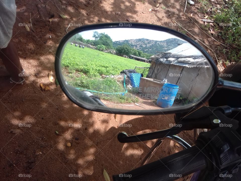 mirror view of nature