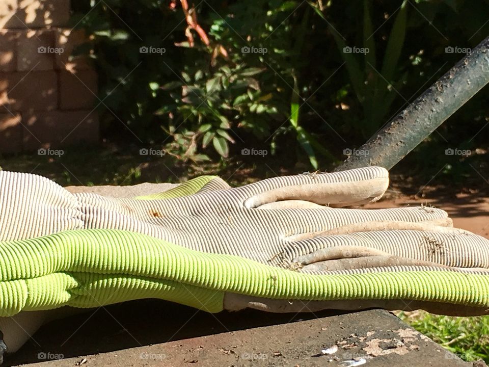 Green garden gloves laying atop old wheelbarrow in backyard garden 