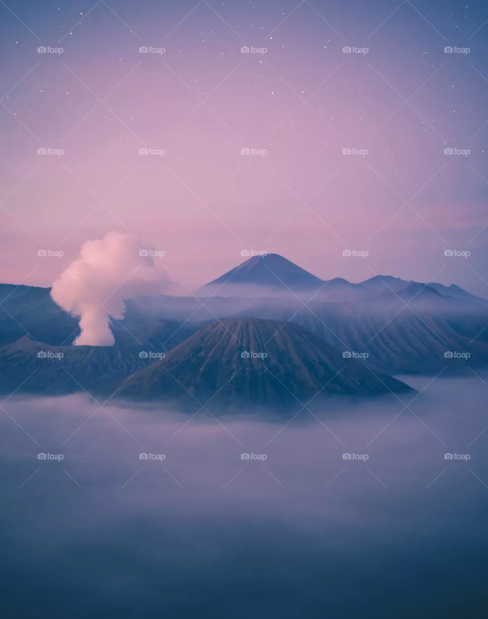 Fog