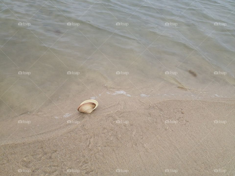 Tide coming in with a shell 