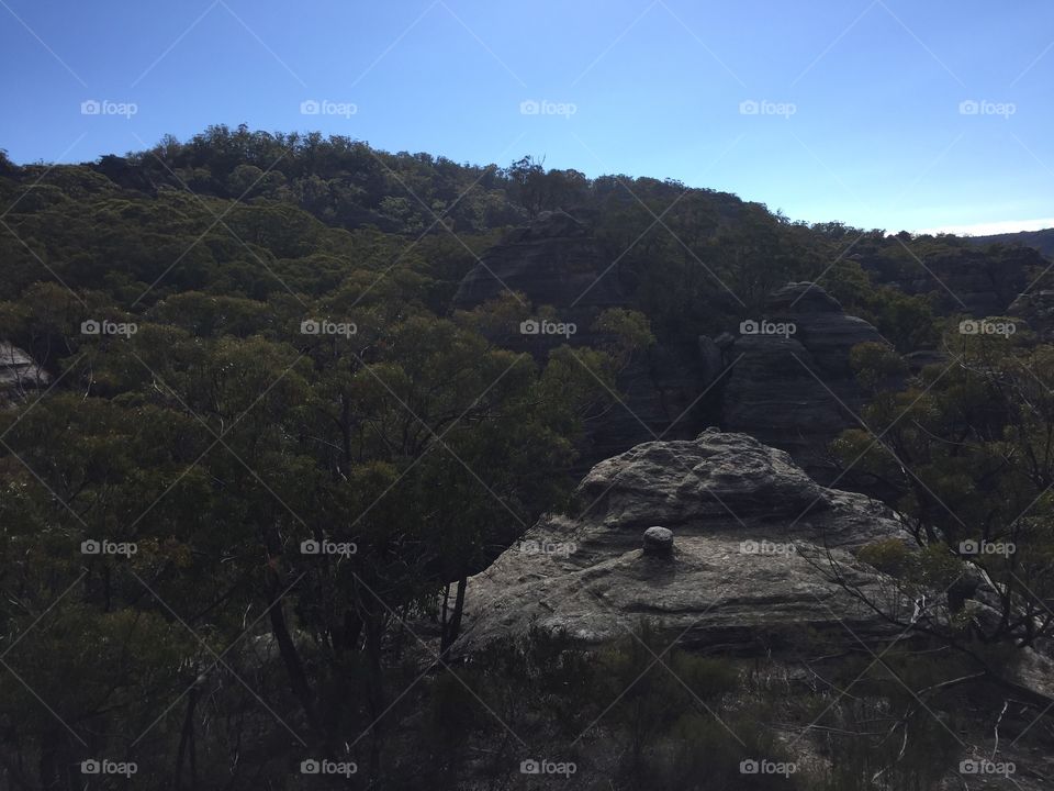 Rocks and trees