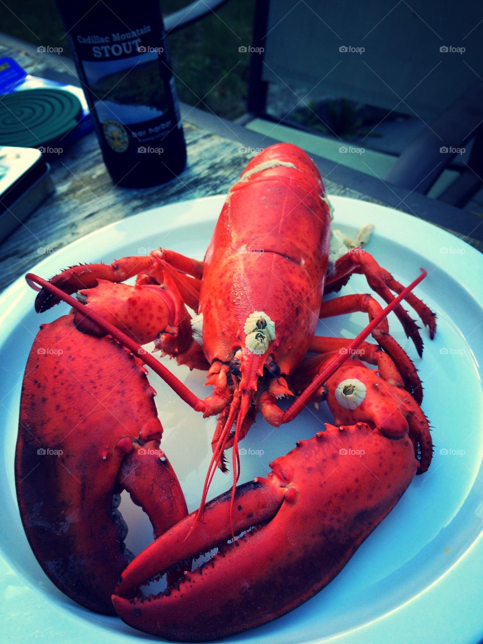 Lobster's friends 