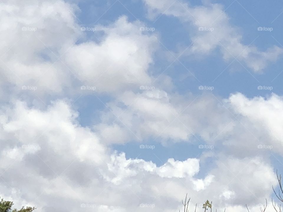 The clouds on a gorgeous day with a beautiful bird