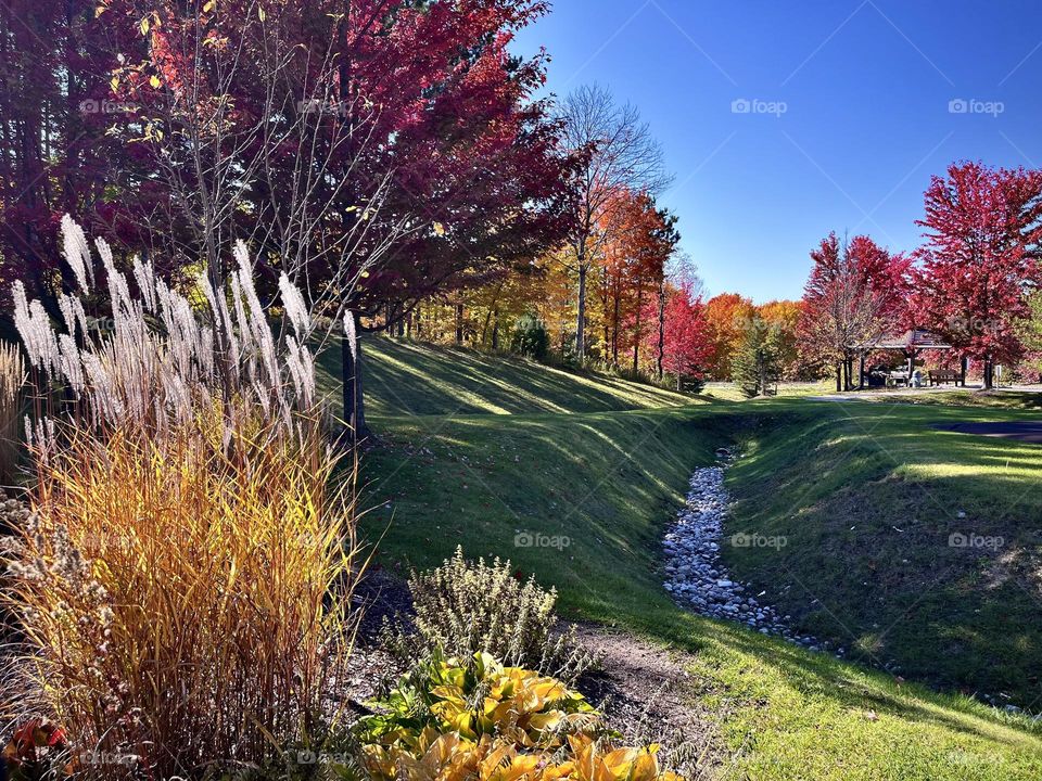 Beautiful autumn day colour changing trees a little valley with plants and blue sky 