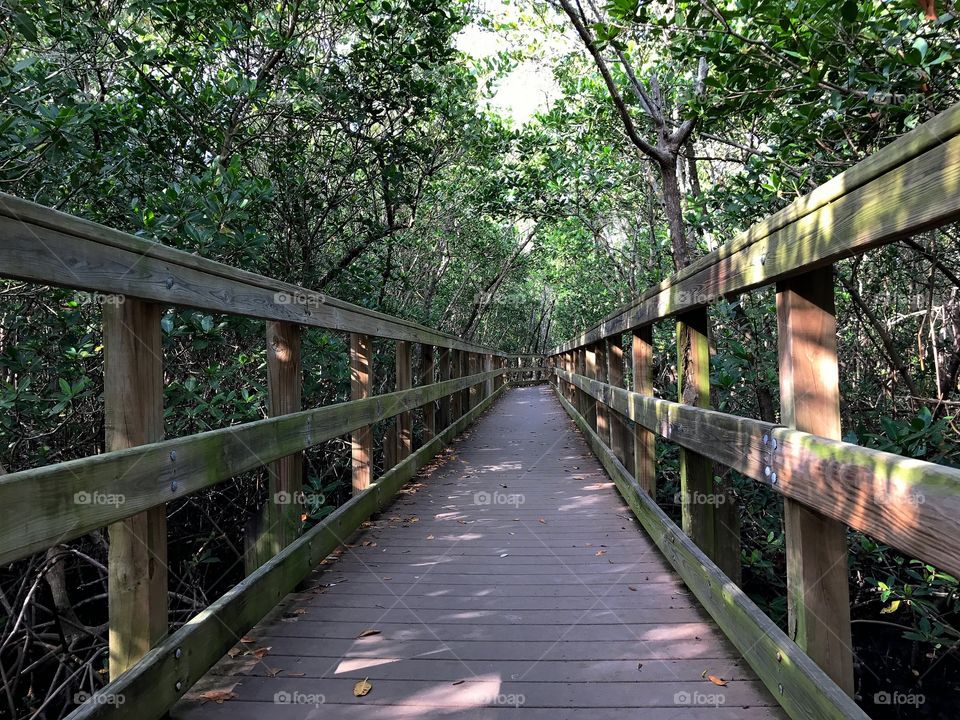 Boardwalk through the forest.