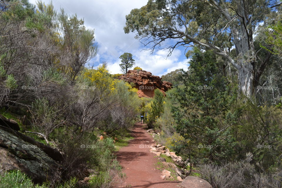 Hiking trail through mountains and gorgeous of the Flinders Ranges in south Australia near wilpena pound 