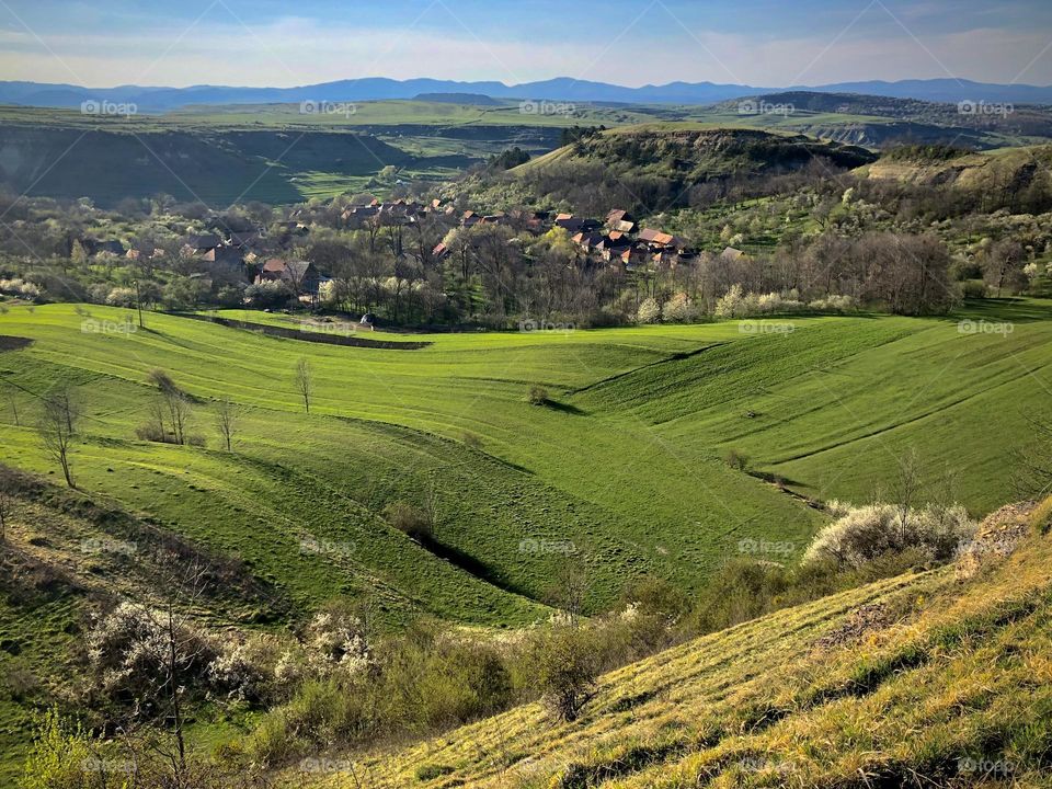 Rural landscape during spring time 