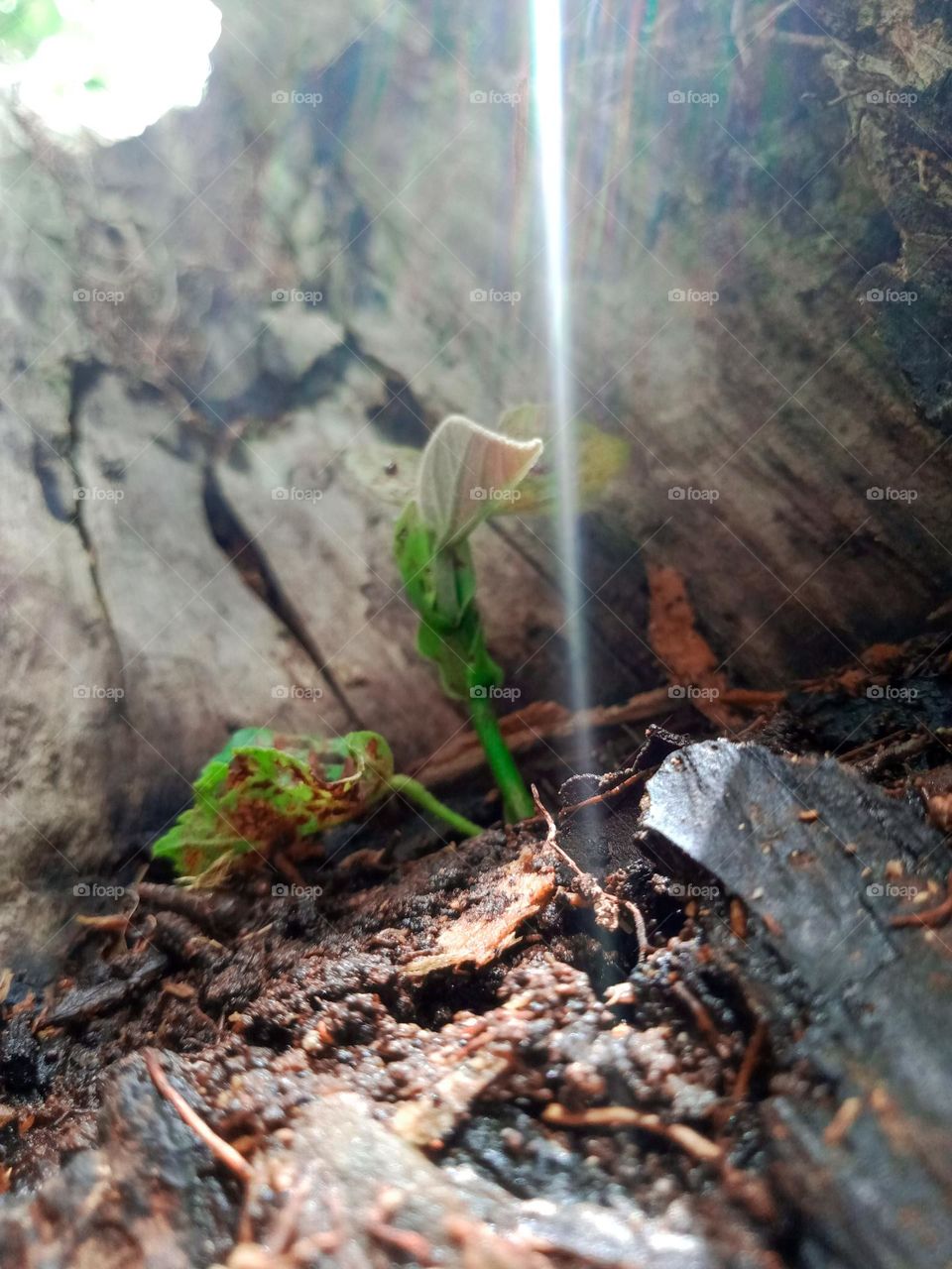 wonderful picture i take