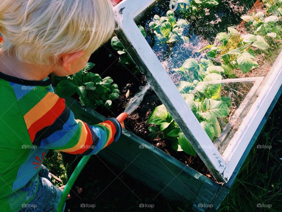 Watering plants