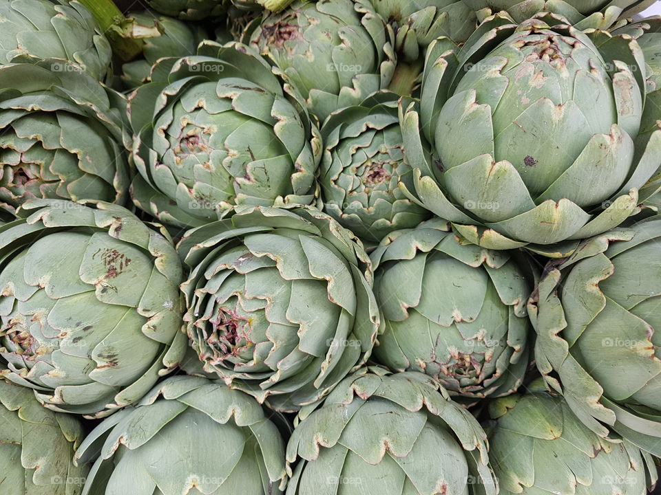 close background full frame of artichoke vegetable