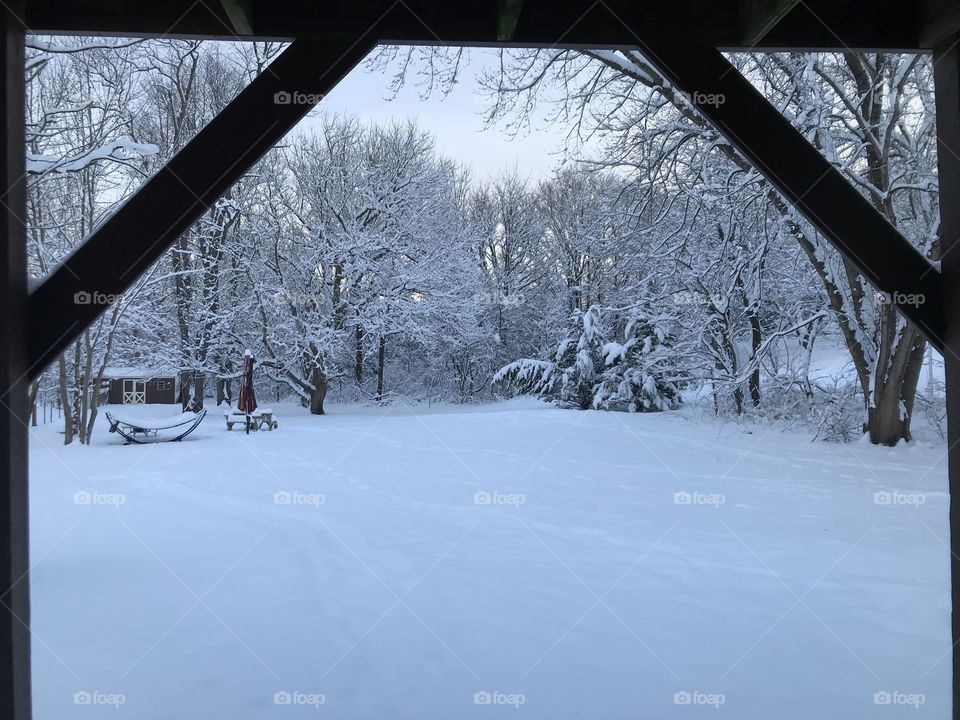 A beautiful snowy morning from the comfort of our patio in WV.